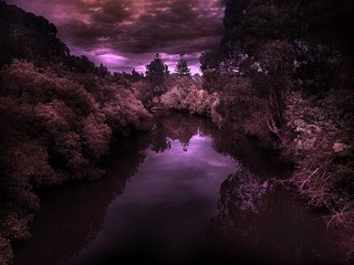 Burgundy colours on a river creek landscape