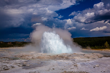 Fototapeta na wymiar Fountain Geyser in Yellowstone