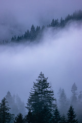 A Winter Wonderland Sunset In Mount Hood National Forest Oregon
