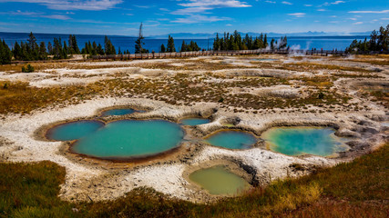 Hotspring pools in Yellowstone