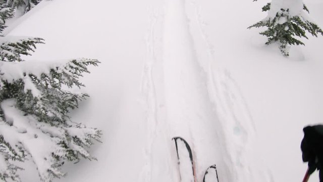 Splitboard POV Perspective Hiking in Snow Covered Mountain Forest