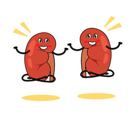 Human kidneys meditate on a white background. Cartoon. Vector illustration.