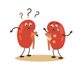Obraz premium Sick human kidneys on a white background. Stones in the kidneys. Vector illustration.