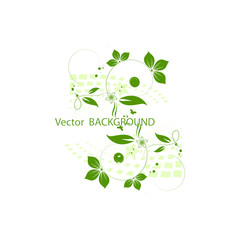 Green flowers background for your text
