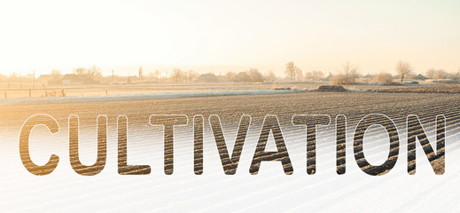 Word cultivation on background of winter farm field. Surface tillage, loosening soil, removing...