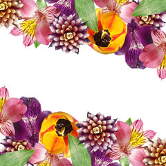 Beautiful floral background of guzmania, tulip and alstroemeria. Isolated