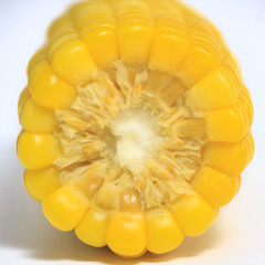 Yellow corn kernels background image