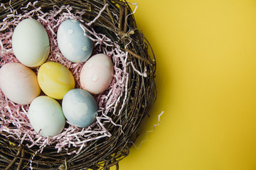A nest of twigs and hay and a pink paper filler with pastel colored Easter eggs. Colored eggs for the holiday of light Easter. Easter card on a yellow background