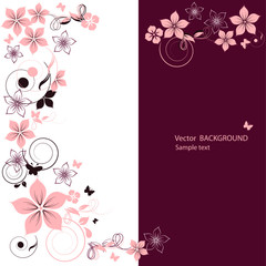 Flower background for your text