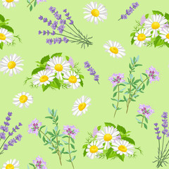 Chamomile, lavender and thyme seamless pattern. Field medicinal wild flowers and herbs isolated on green background. Vector illustration of a summer flowering meadow in cartoon flat style.