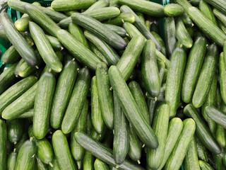 Sale of green medium-fruited cucumbers in large quantities in the store. Vegetable background.