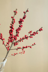 Red berries branch in glass vase in front of tan neutral beige wall background. Modern minimal interior design concept.