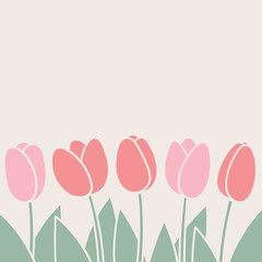Pink tulips on a light background