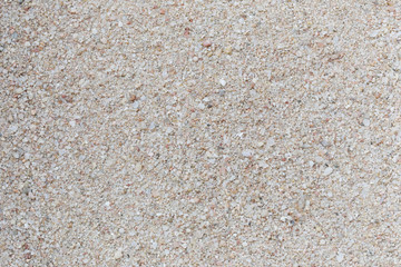 Sand texture background of beach detail.