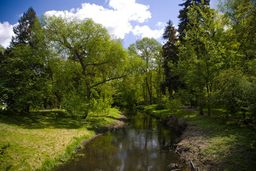Fototapeta na wymiar calm picturesque spring landscape with green trees in the park in Żelazowa Wola in Poland