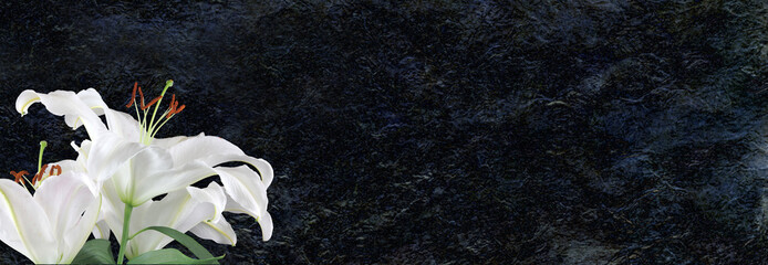 White lily deepest sympathy  bBackground banner - lilies against a black rustic shiny rock face...