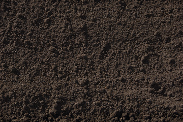 texture of fertile soil the background is a deep brown color