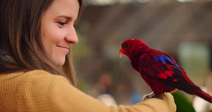 Red lory parrot sitting on a young woman's hand, while she's smiling. Slow motion, shallow depth of field. BMPCC 4K