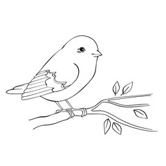 Coloring page. Bird on branch. Line illustration