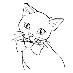 Kitten coloring page. Black and white illustration
