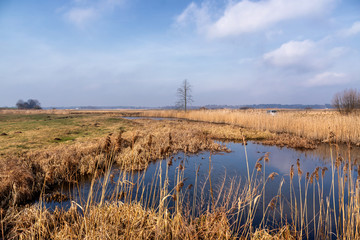 Łąki nad Narwią. Dolina Narwi. Tykocin, Kiermusy, Podlasie, Polska