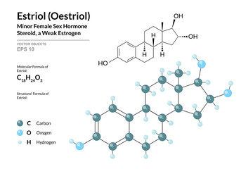 Estriol (Oestriol). Structural Chemical Formula and Molecule 3d Model. Atoms with Color Coding. Vector Illustration