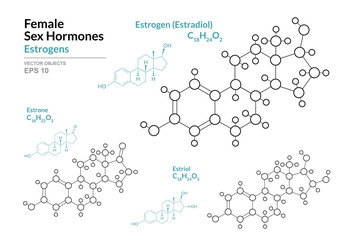 Estrogens. Estradiol, Estrone, Estriol. Female Sex Hormones. Structural Chemical Formula and Molecule Model. Line Design. Vector Illustration - obrazy, fototapety, plakaty