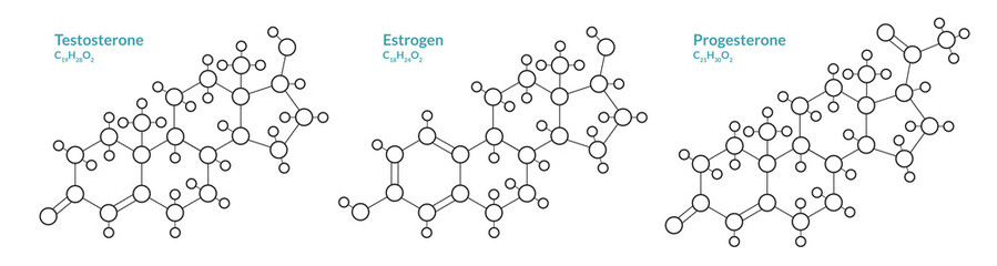 Testosterone, Estrogen, Progesterone. Male and Female Sex Hormones. Structural Chemical Formula and Molecule Model. Line Design. Vector Illustration - obrazy, fototapety, plakaty