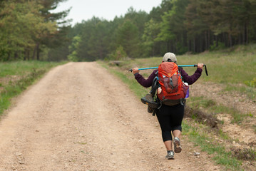 Obraz premium Peregrina atravesando la sierra burgalesa de los Montes de Oca, en el Camino de Santiago Francés