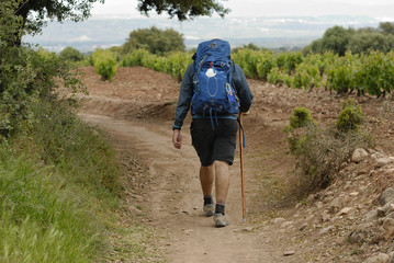 Peregrino coronando el alto riojano de San Antón, entre Ventosa y Nájera, en el Camino de Santiago Francés