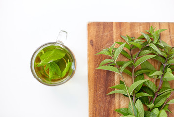 drinks, herbs and ethnoscience concept - herbal tea with fresh peppermint on wooden board