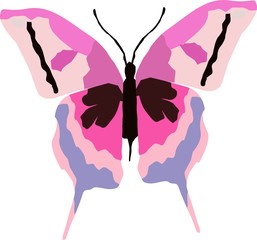 butterfly in a purple pink tone vector illustration isolated on a white background