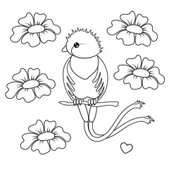 Cute quetzal and flowers outline drawing. Vector Illustration.