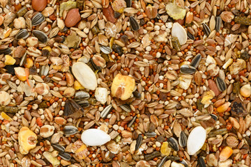 The texture of the dry feed mixture for the pet rodents.