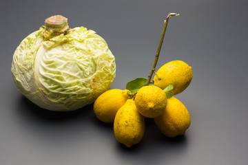 Branch with lemons on a vegetable leaf