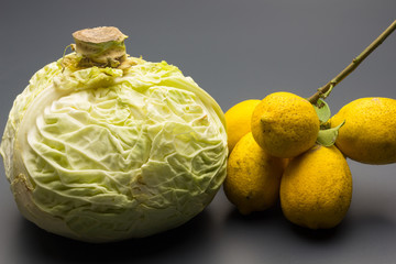Branch with lemons on a vegetable leaf