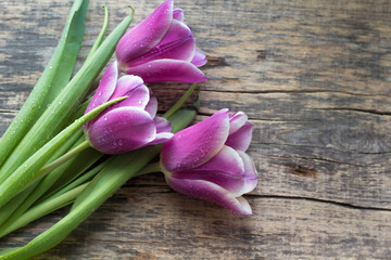 Purple tulips on old rustic wooden background. Valentines, Mothers, Womens Day and greeting concept. Banner template layout mockup for post blog social media. Top view. Copy space.