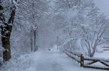 snowy and frozen landscape in winter