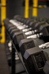Obraz premium Black dumbbell set in the gym. Close up many metal dumbbells on rack in sport fitness center. Weight Training Equipment concept.