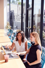 Businesswoman Using Laptop Working With Pregnant Female Colleague In Modern Office