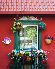 The window is decorated with geranium flowers and cacti.