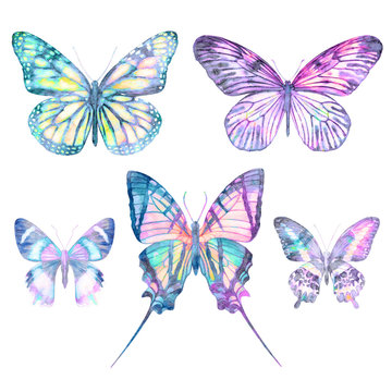 Watercolor butterflies isolated on white background. Big bright set. Abstract colorful illustration collection