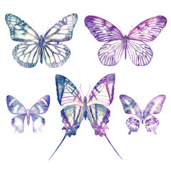 Fototapeta na wymiar Watercolor butterflies isolated on white background. Big bright set. Abstract colorful illustration collection