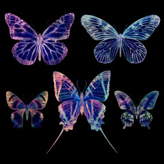 Fototapeta na wymiar Watercolor butterflies isolated on black background. Big bright set. Abstract colorful illustration collection