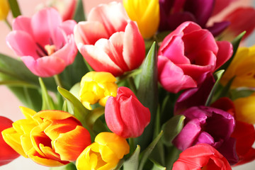 Beautiful spring tulips on light background, closeup