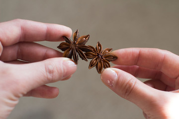 young woman holding star anise in her hand