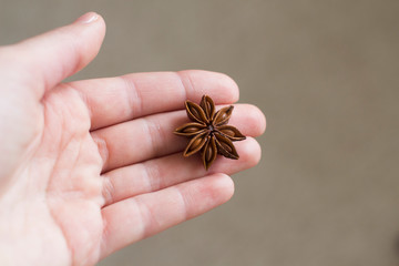 young woman holding star anise in her hand