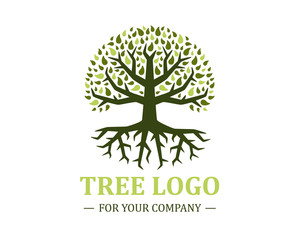 Circle tree logo isolated on a white background. Classic design. Green and brown colors. Lettering. Space for text. Leaves and roots. Simple modern concept. Flat style vector illustration.