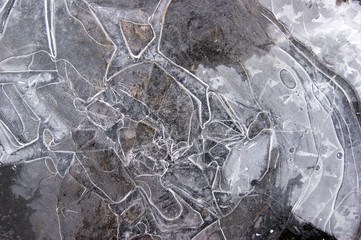 Frozen puddle with broken ice.