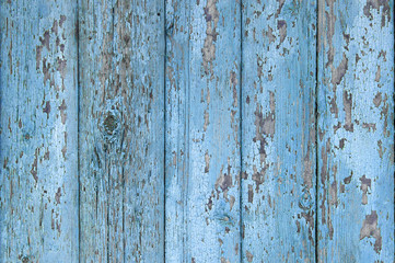 Crackled paint on old light blue wood planks.